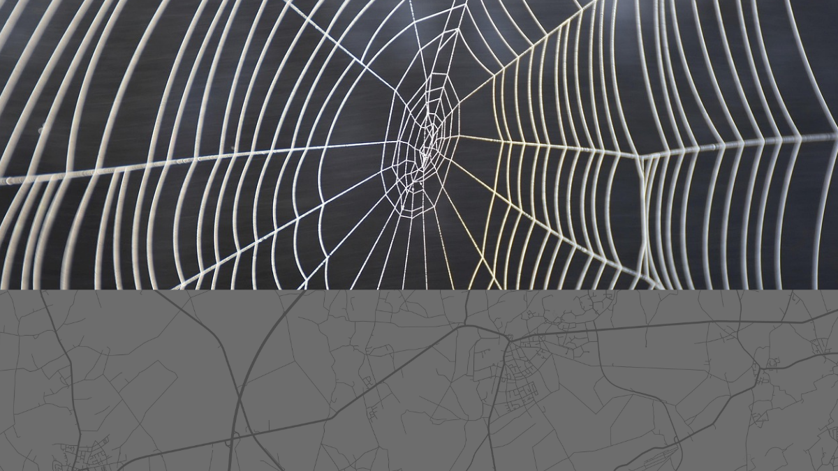 Das Spinnennetz der Wege – Verbindungen zwischen Natur und Kartografie Makroaufnahme eines symmetrischen Spinnennetzes mit feinen Fäden, darunter eine Straßenkarte