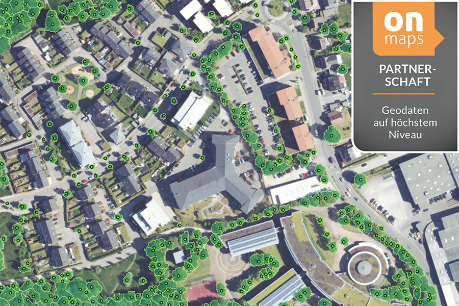 onmaps Partnerschaft – Baumstandortanalyse auf höchstem Niveau Luftbild mit Baumstandortanalyse und onmaps-Branding „Partnerschaft – Geodaten auf höchstem Niveau“