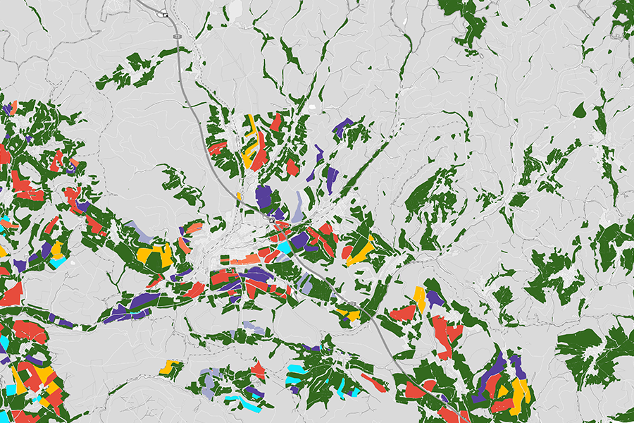 Detaillierte KI-Kartierung von Feldfrüchten im Mittelgebirgsraum, mit differenzierter Flächennutzung